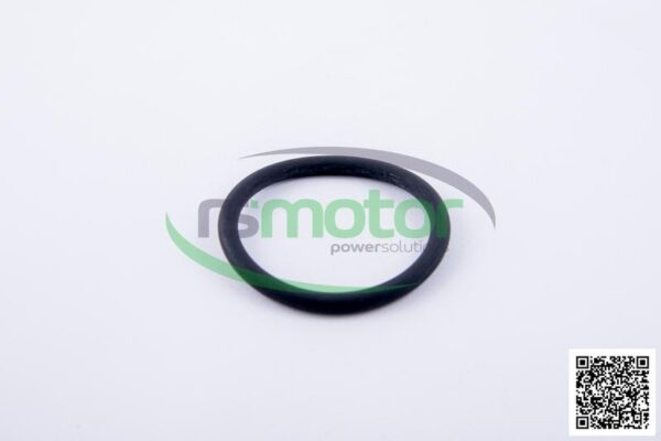 O-ring Jenbacher RS-319737 - Image 2