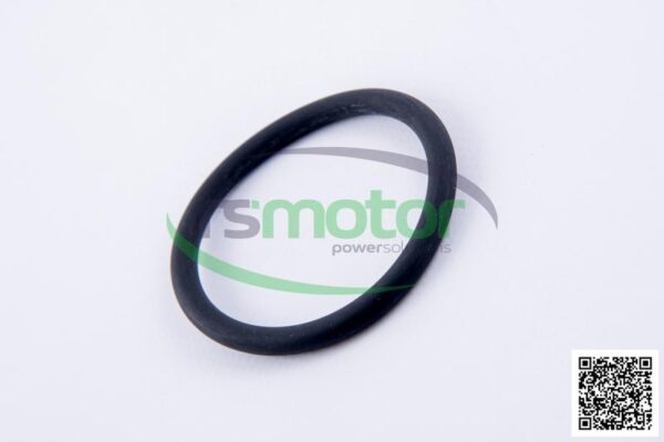 O-ring Jenbacher RS-319737 - Image 6