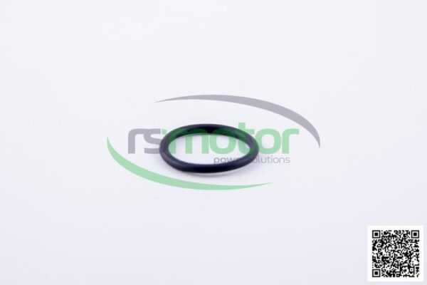 O-ring Jenbacher RS-319741 - Image 3