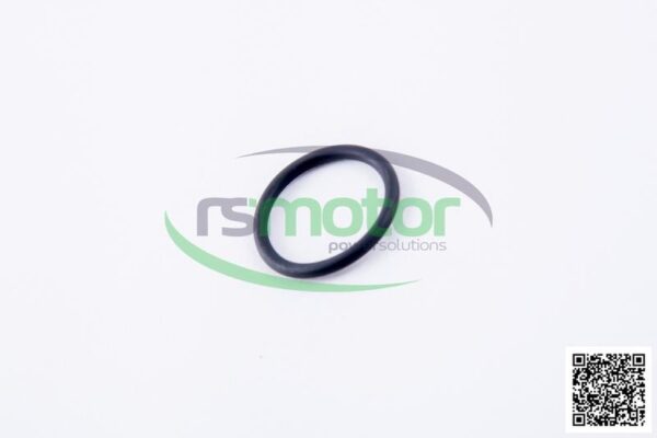 O-ring Jenbacher RS-319741 - Image 6