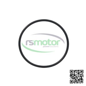 O-Ring Jenbacher RS 319743 sobre un fondo blanco con el logo de RS Motor de fondo