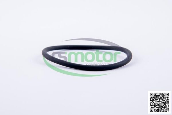 O-ring Jenbacher RS-323220 - Image 4