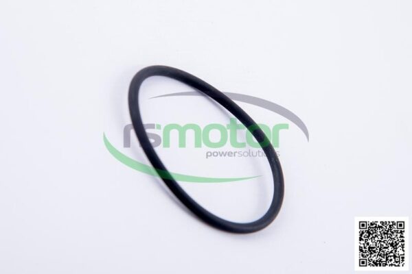 O-ring Jenbacher RS-323220 - Image 5