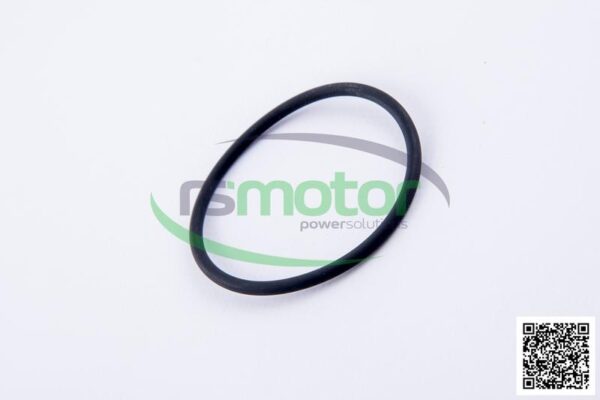 O-ring Jenbacher RS-323220 - Image 6