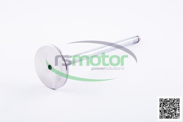 Intake valve Jenbacher RS-334781 - Image 2