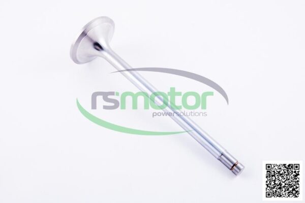 Intake valve Jenbacher RS-334781 - Image 3
