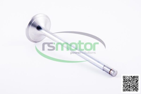 Intake valve Jenbacher RS-334781 - Image 4