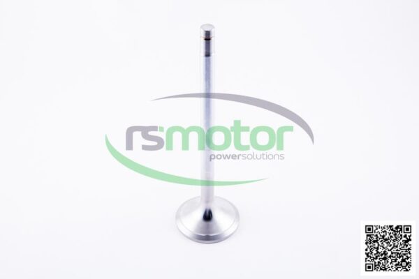 Intake valve Jenbacher RS-334781 - Image 6