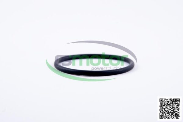 O-Ring Jenbacher RS-350544 - Image 3