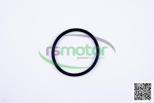 O-Ring Jenbacher RS-350544 - Image 4