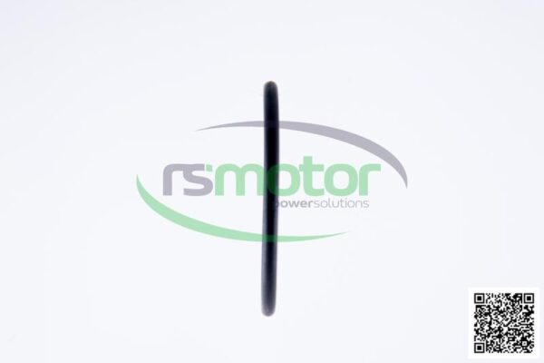 O-Ring Jenbacher RS-350544 - Image 5