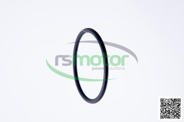 O-Ring Jenbacher RS-350544 - Image 6