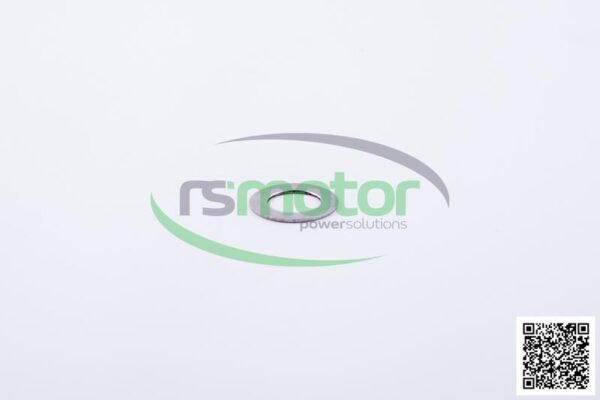Disc Jenbacher RS-359913 - Image 3