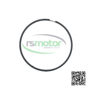 Scraper Ring Jenbacher RS-363977