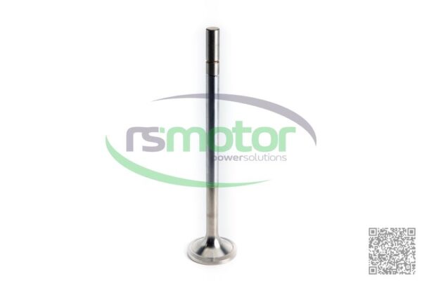 Válvula de escape Jenbacher RS-369443 - Imagen 3
