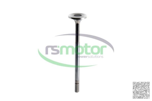 Válvula de escape Jenbacher RS-369443 - Imagen 4