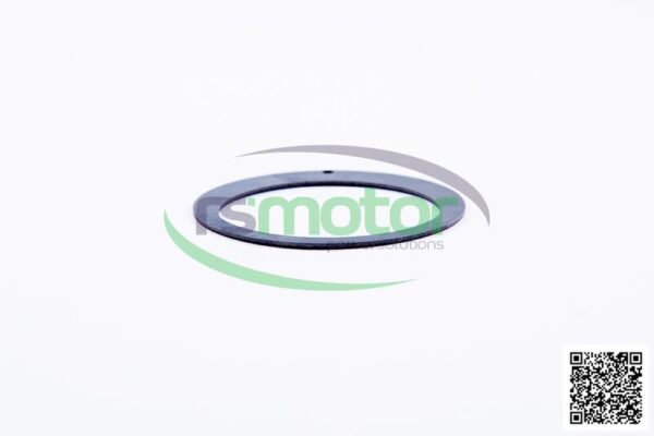 Disco Jenbacher RS-372138 - Imagen 3