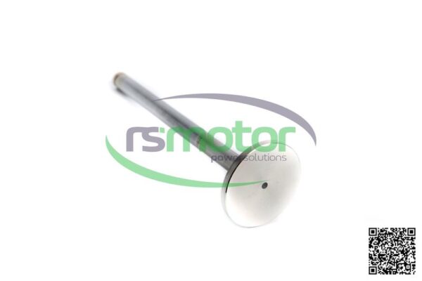 Válvula de escape Jenbacher RS-375630 - Imagen 2