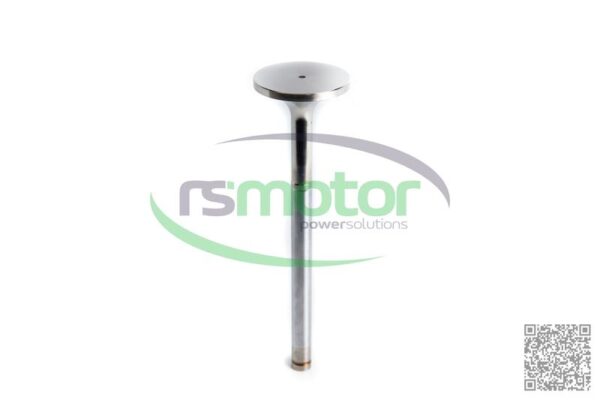 Válvula de escape Jenbacher RS-375630 - Imagen 4