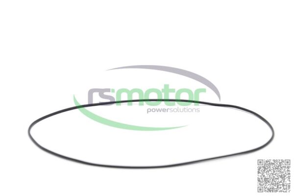 O-ring Jenbacher RS-376469 - Image 3