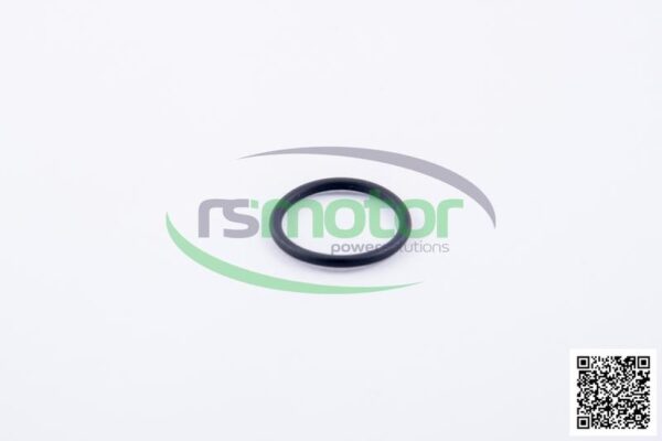 O-ring Jenbacher RS-376482 - Image 2