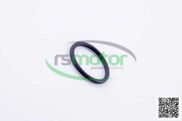O-ring Jenbacher RS-376482 - Image 5