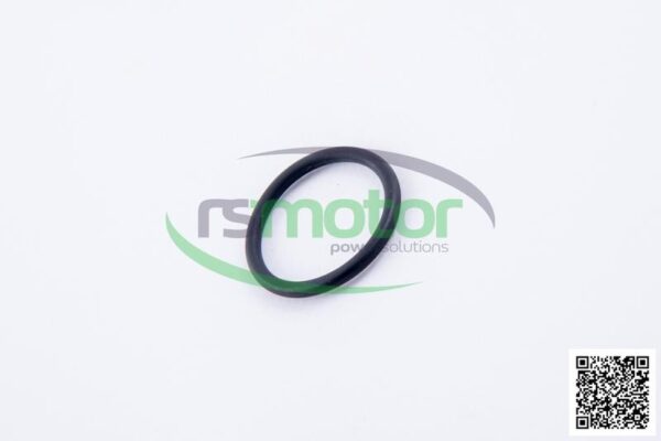 O-ring Jenbacher RS-376482 - Image 6
