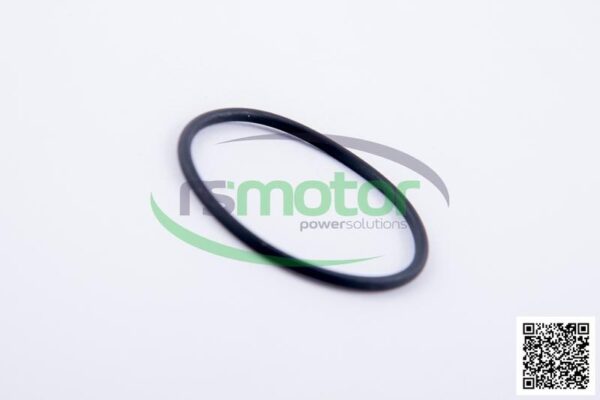 O-ring Jenbacher RS-376483 - Image 5
