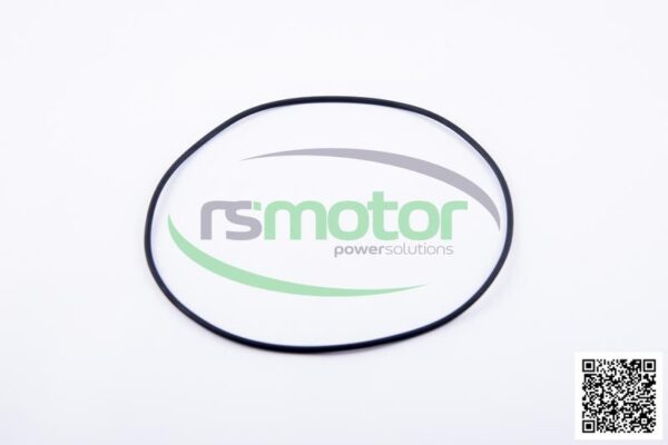 O-ring Jenbacher RS-376488 - Image 2