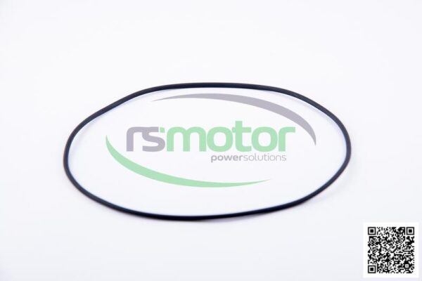 O-ring Jenbacher RS-376488 - Image 3