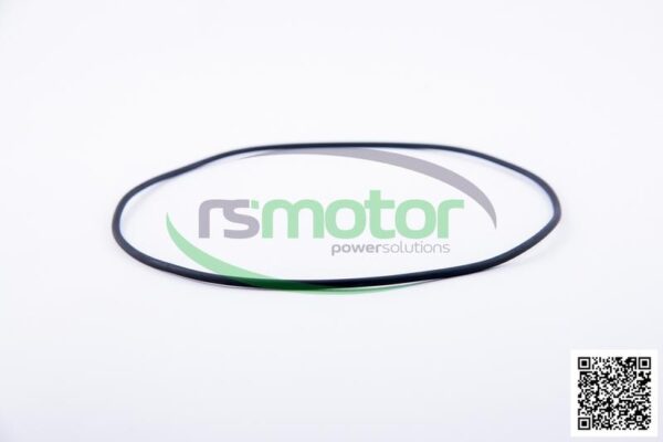 O-ring Jenbacher RS-376488 - Image 4