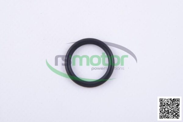 Junta tórica Jenbacher RS-376511 - Imagen 4