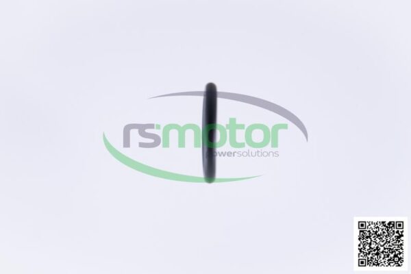 Junta tórica Jenbacher RS-376511 - Imagen 6