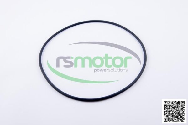 Sealing Ring Set Jenbacher RS-386808 - Image 2