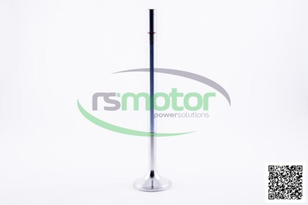 Intake Valve Jenbacher RS-414487 - Image 4