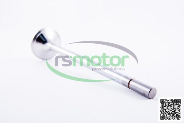 Intake Valve Jenbacher RS-414487 - Image 5