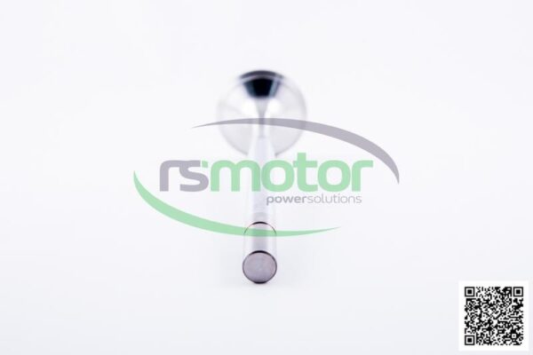 Intake Valve Jenbacher RS-414487 - Image 6