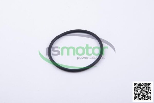 O-ring Jenbacher RS-456731 - Image 2
