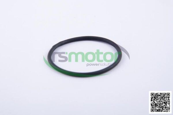 O-ring Jenbacher RS-456731 - Image 3