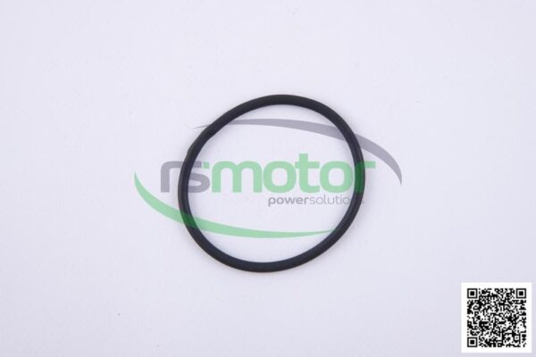 O-ring Jenbacher RS-456731 - Image 5