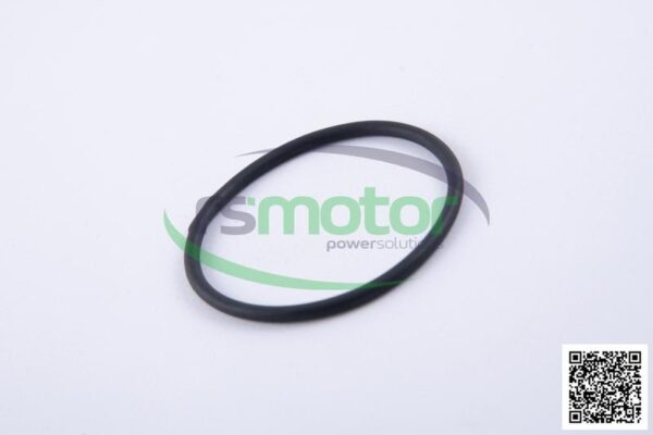 O-ring Jenbacher RS-456731 - Image 6