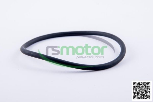 O-ring Jenbacher RS-456732 - Image 3