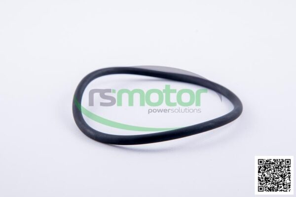 O-ring Jenbacher RS-456732 - Image 4