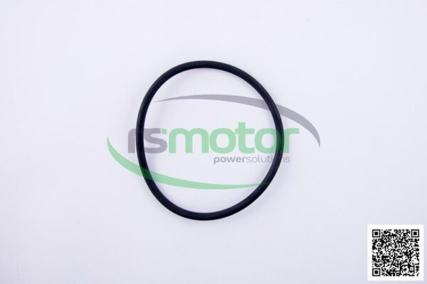O-ring Jenbacher RS-456732 - Image 5