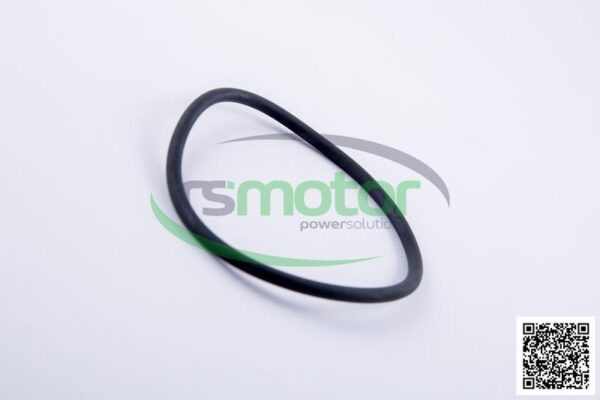 O-ring Jenbacher RS-456732 - Image 6
