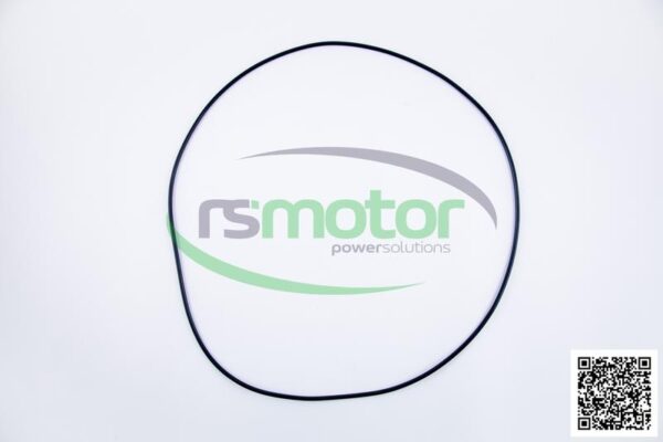O-Ring Jenbacher RS-456744 - Image 6