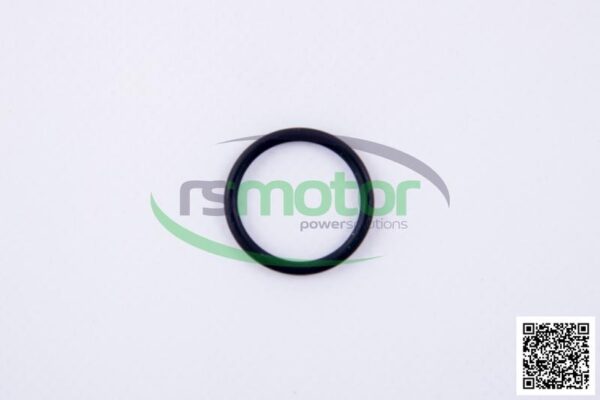 O-ring Jenbacher RS-456745 - Image 2