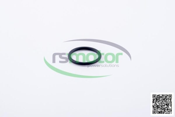O-ring Jenbacher RS-456745 - Image 3