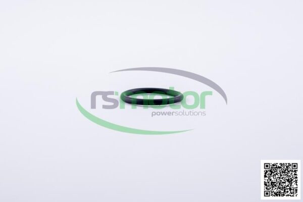 O-ring Jenbacher RS-456745 - Image 4