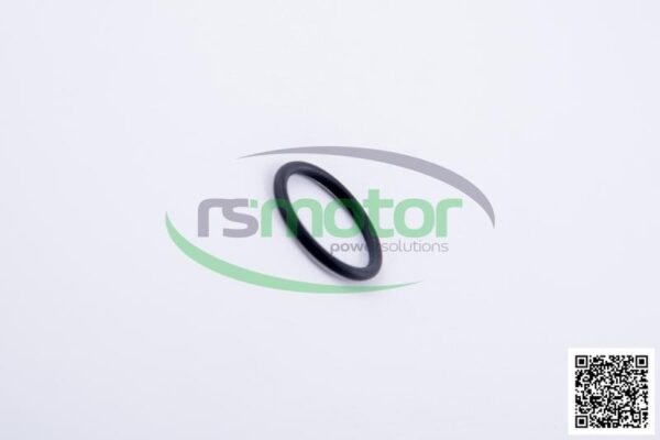 O-ring Jenbacher RS-456745 - Image 5